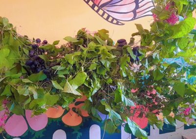 Fruits day 2025